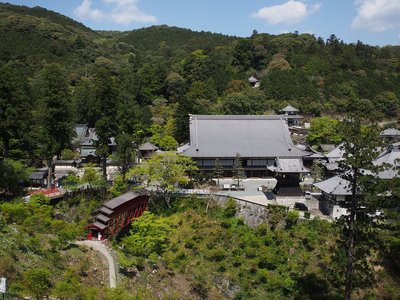 🏯 광대한 사찰(호코지)